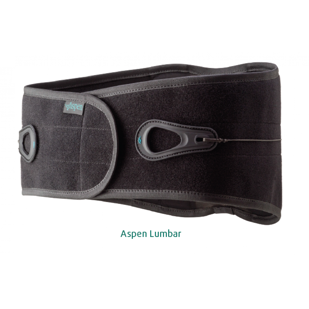 Aspen Pain Relief Back Support Lumbar Support Brace Fu Kang Healthcare Shop Online